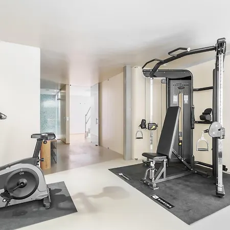 The Ehrlich Essence By Minho's Guest Villa Braga